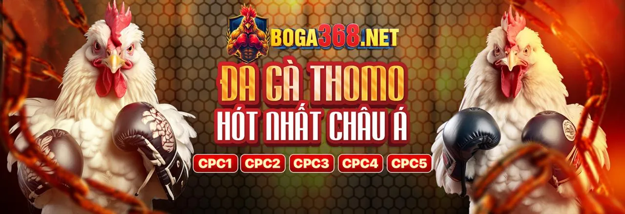 Casino trực tuyến trên ứng dụng Rich88